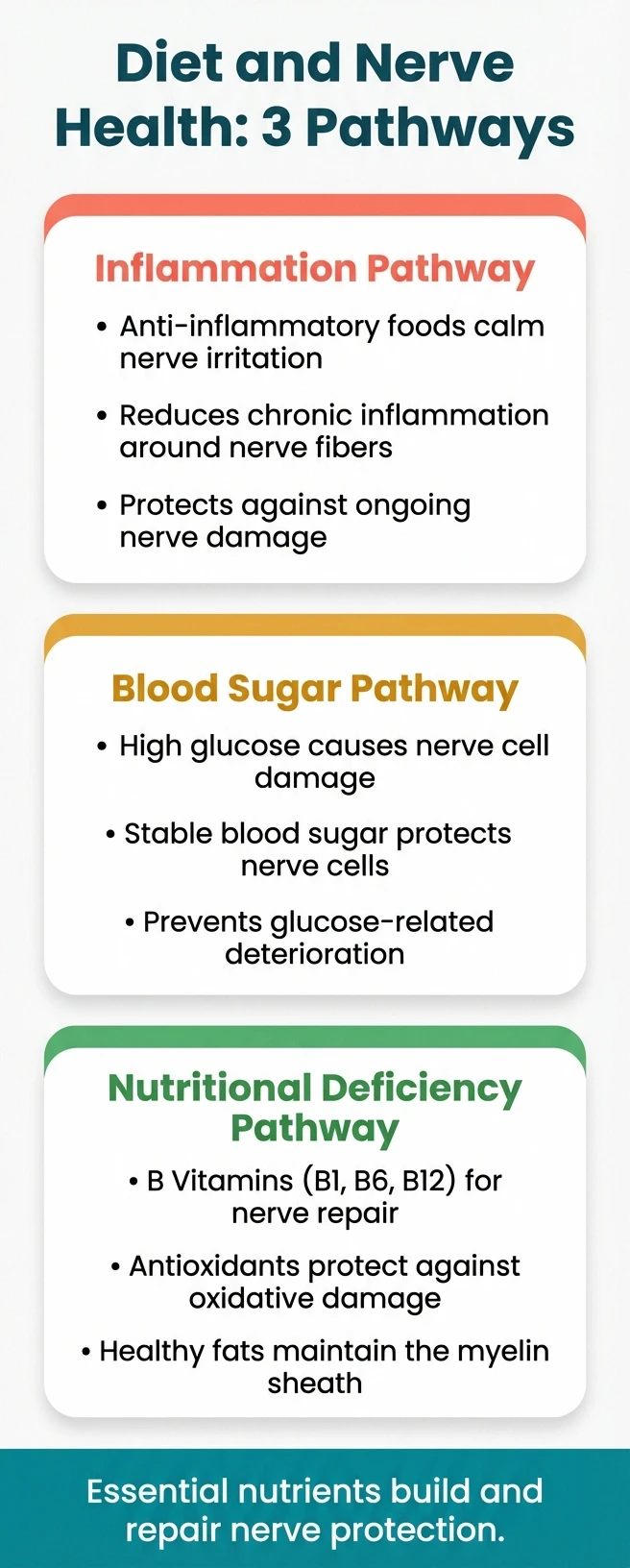 Infographic showing three pathways by which diet affects neuropathy: inflammation, blood sugar, and nutritional deficiency