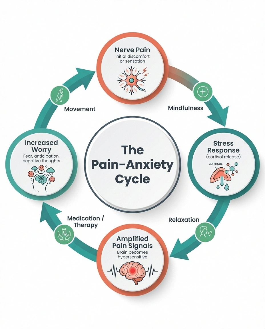 Infographic showing the circular pain-anxiety cycle in neuropathy with nerve pain, stress response, amplified signals, and increased worry