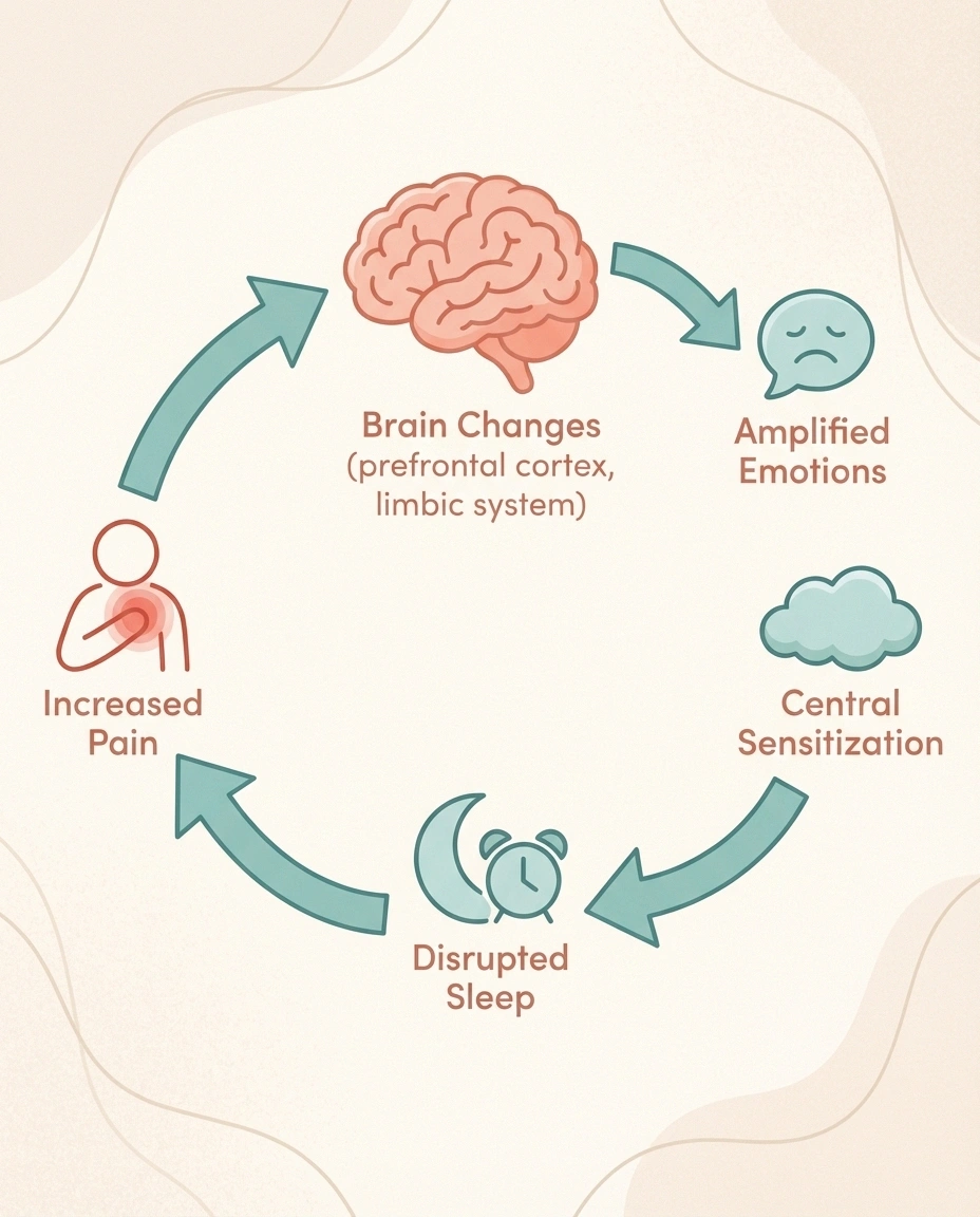 Diagram showing the biological cycle between chronic neuropathic pain and amplified grief responses including brain changes, central sensitization, and sleep disruption
