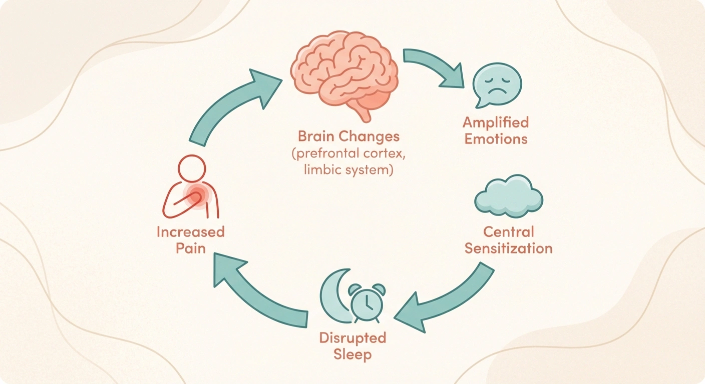 Diagram showing the biological cycle between chronic neuropathic pain and amplified grief responses including brain changes, central sensitization, and sleep disruption