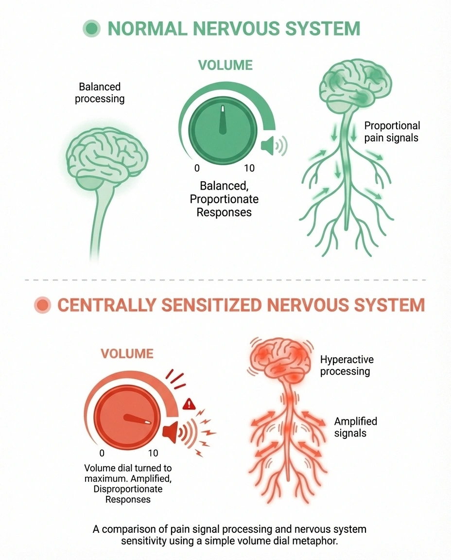 Comparison of normal nervous system pain processing versus centrally sensitized nervous system in PTSD and neuropathy