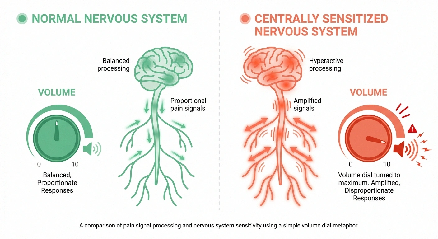 Comparison of normal nervous system pain processing versus centrally sensitized nervous system in PTSD and neuropathy