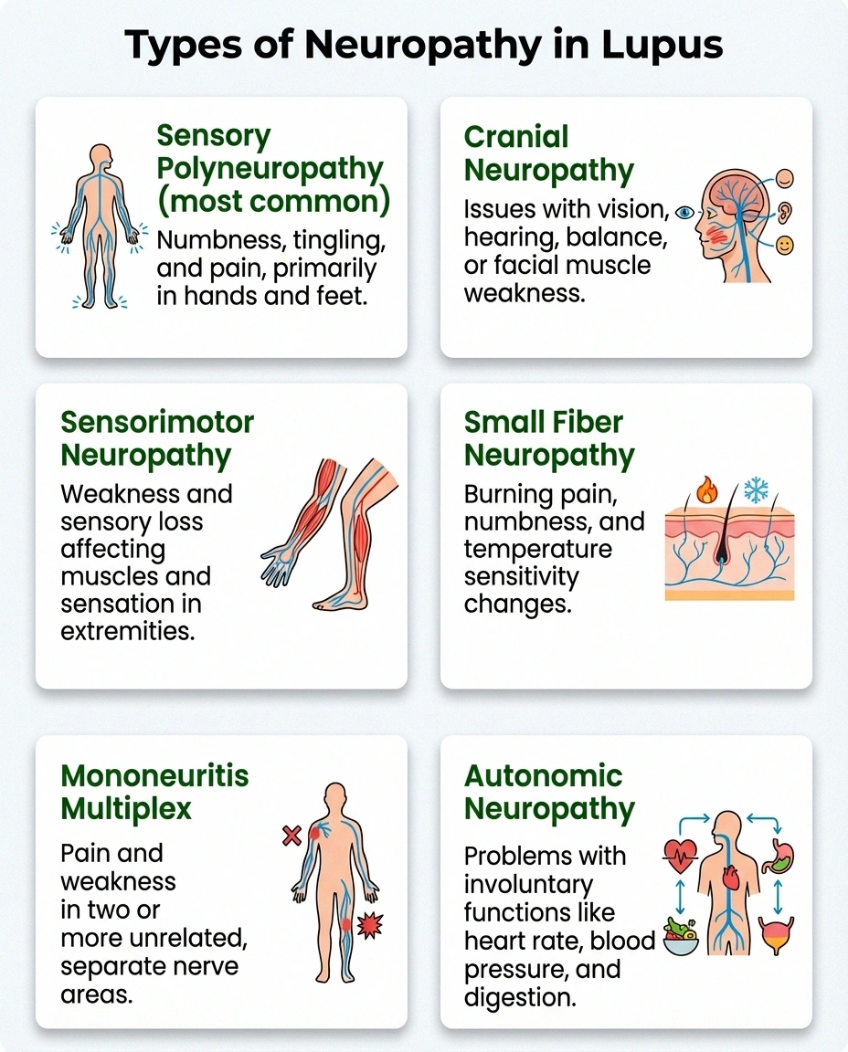 Infographic showing six types of peripheral neuropathy that can occur with lupus including sensory polyneuropathy and mononeuritis multiplex