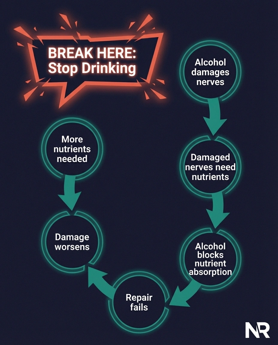Vicious cycle diagram showing how alcohol creates a nutritional deficiency trap that worsens neuropathy with a break point at stopping drinking