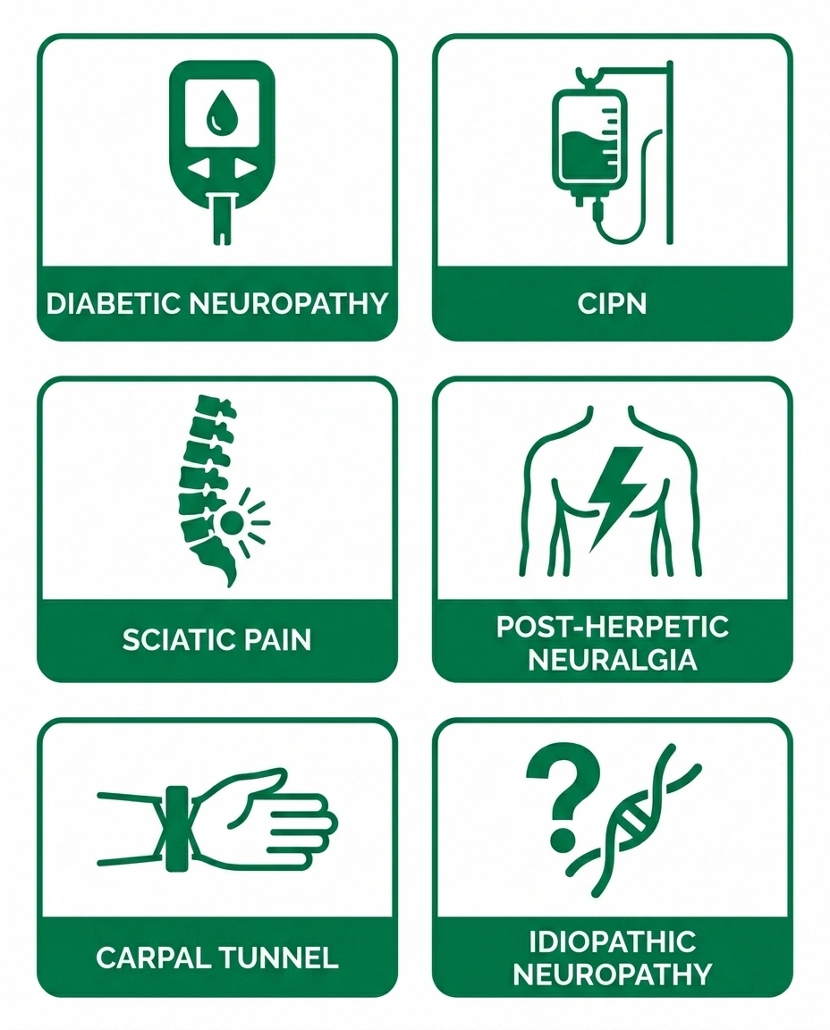 Types of neuropathy where PEA has been studied including diabetic and chemotherapy-induced