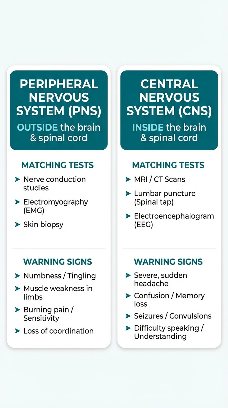 Summary chart of the key differences between peripheral and central neuropathy