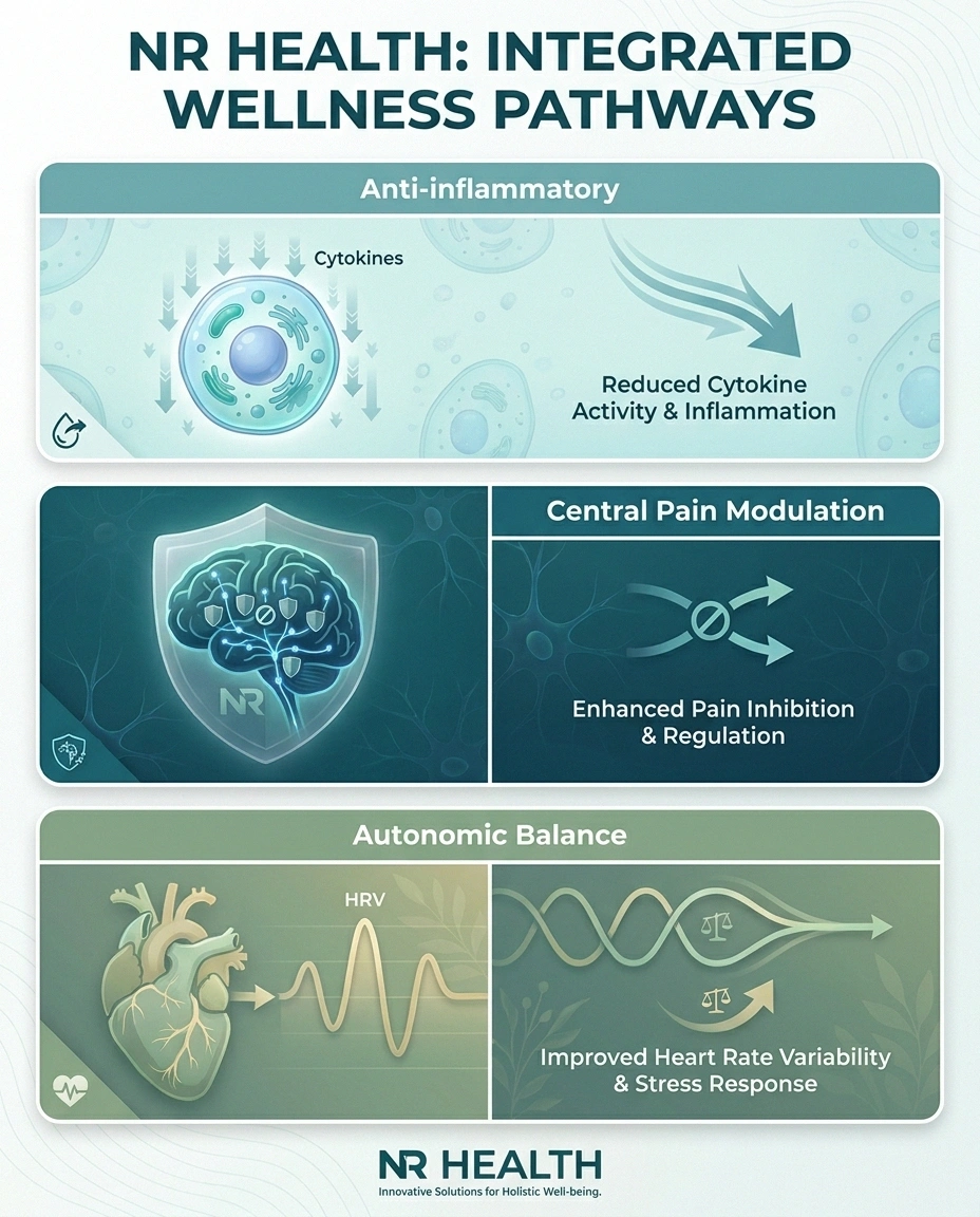 Three mechanisms by which vagus nerve stimulation may help neuropathy: anti-inflammatory, central pain modulation, autonomic balance