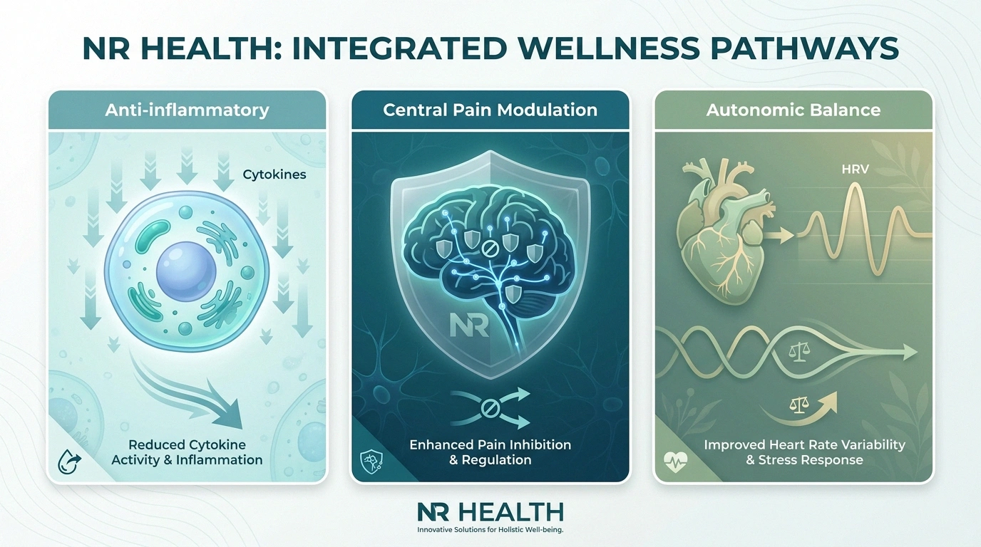 Three mechanisms by which vagus nerve stimulation may help neuropathy: anti-inflammatory, central pain modulation, autonomic balance