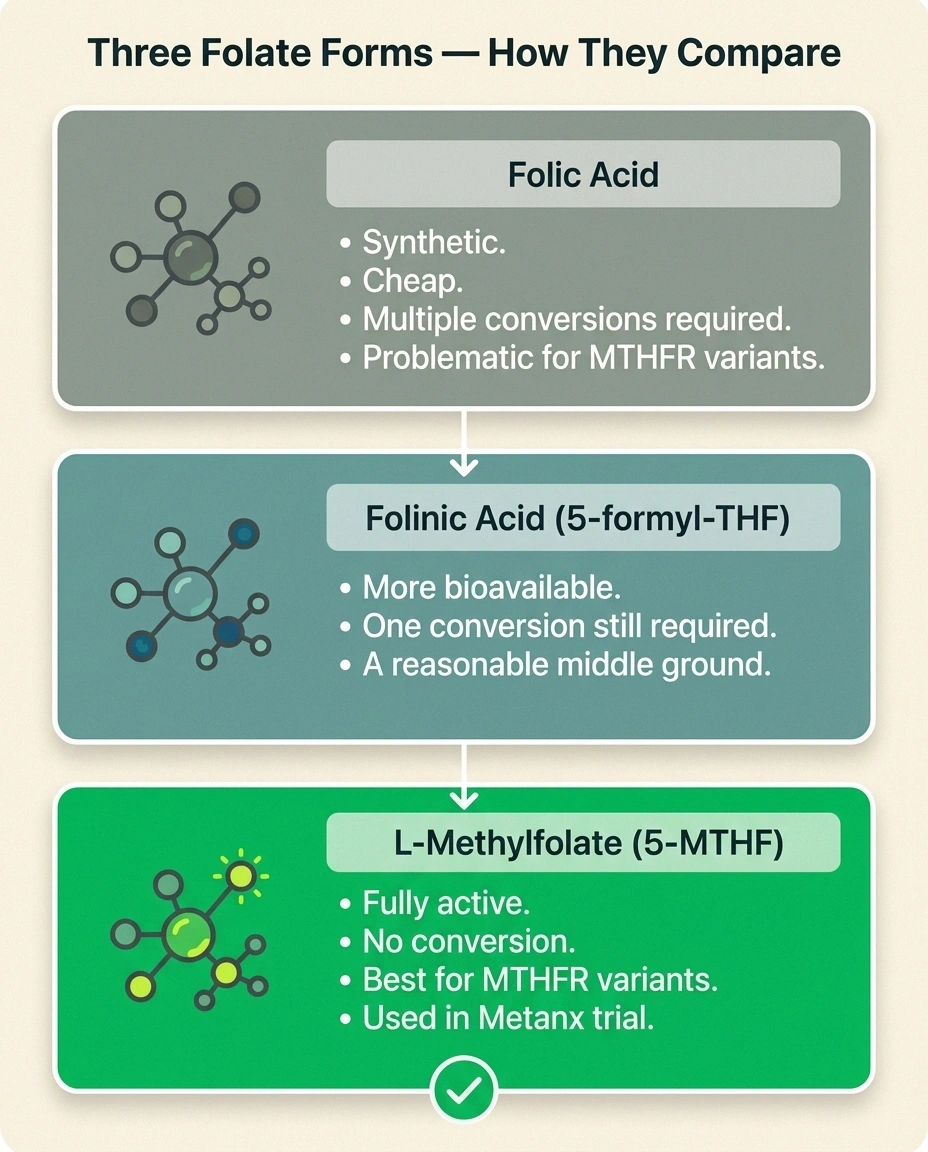 Infographic comparing folic acid, folinic acid, and L-methylfolate (5-MTHF) — bioavailability and MTHFR suitability