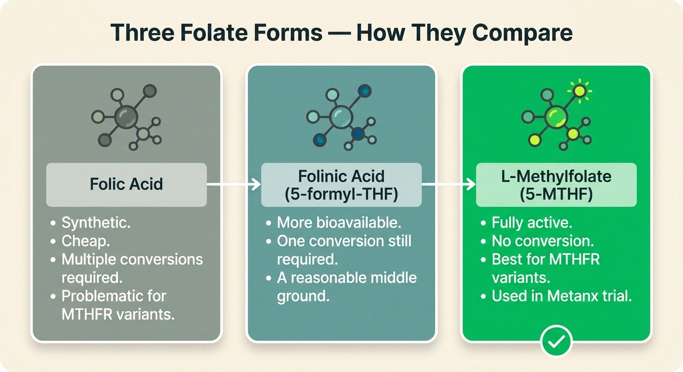 Infographic comparing folic acid, folinic acid, and L-methylfolate (5-MTHF) — bioavailability and MTHFR suitability