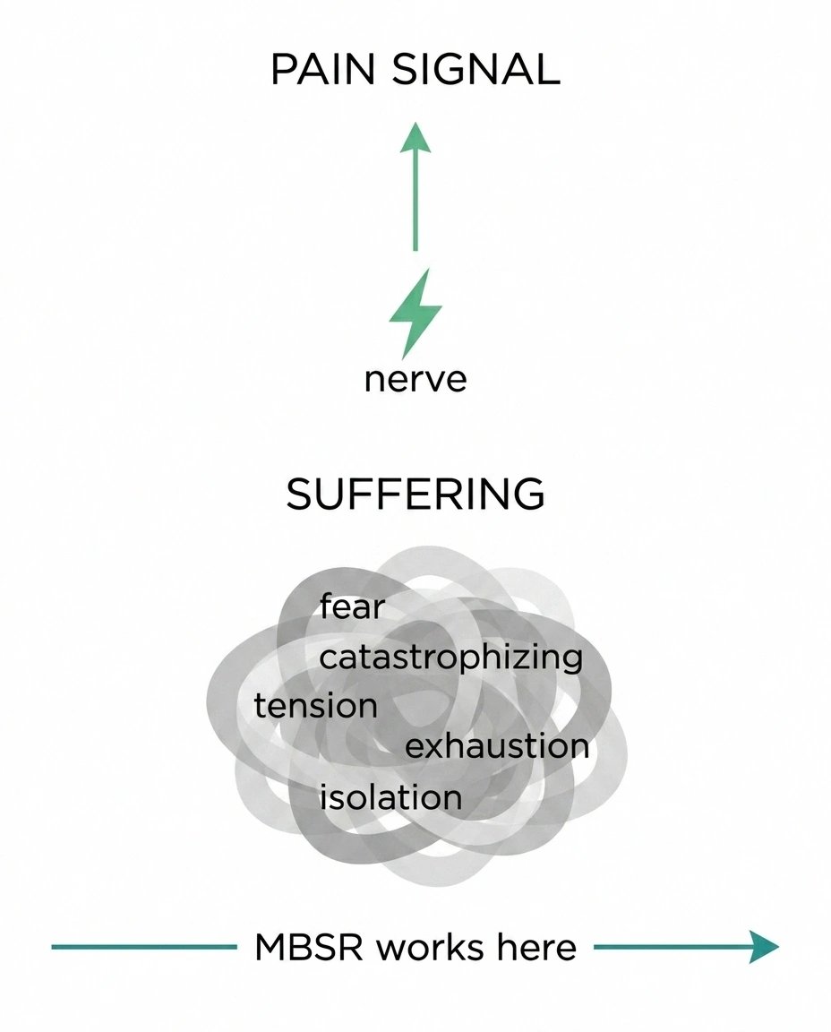 Diagram contrasting a single pain signal with the larger cloud of suffering MBSR addresses.
