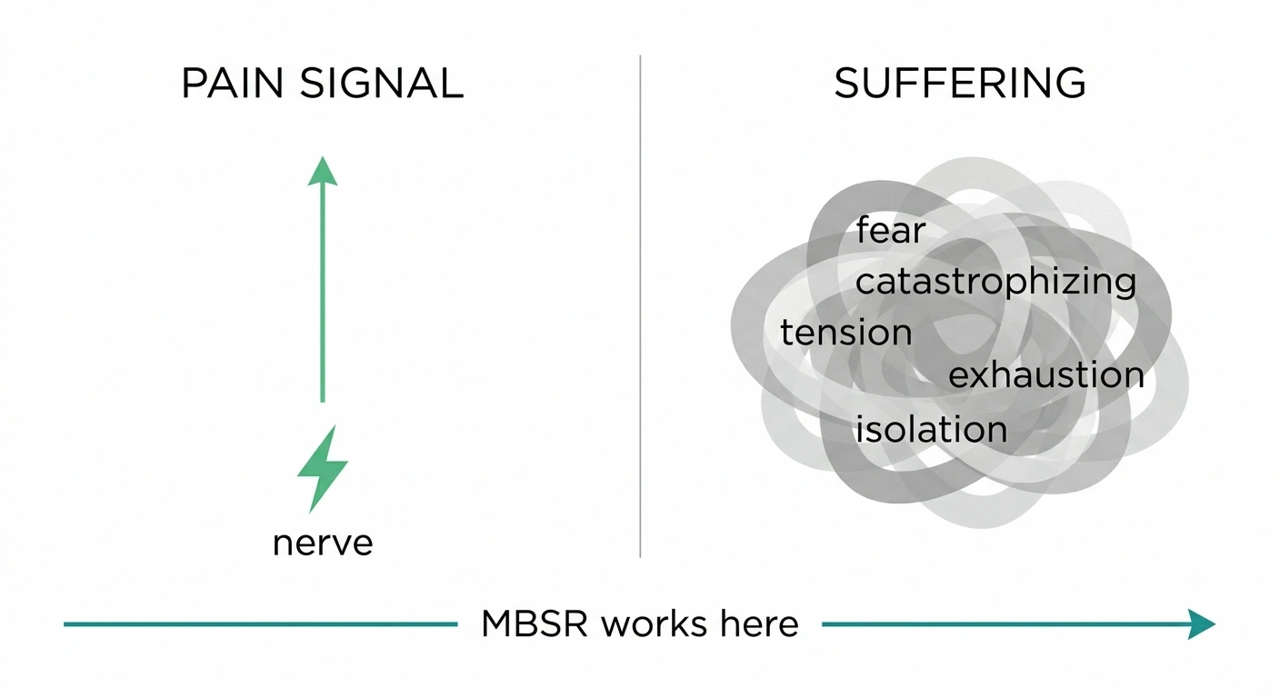 Diagram contrasting a single pain signal with the larger cloud of suffering MBSR addresses.