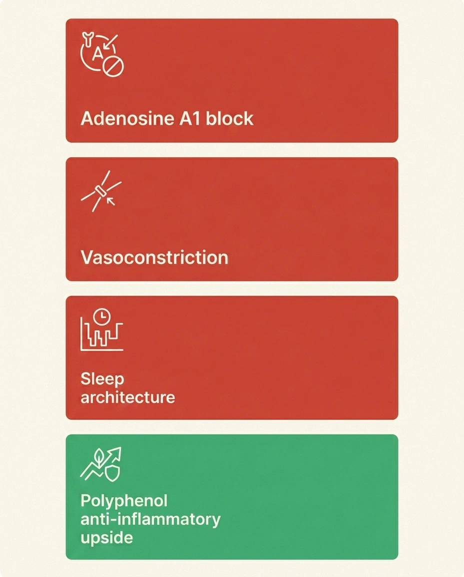 Infographic showing the four ways caffeine affects nerve pain — adenosine receptors, vasoconstriction, sleep, and polyphenols.