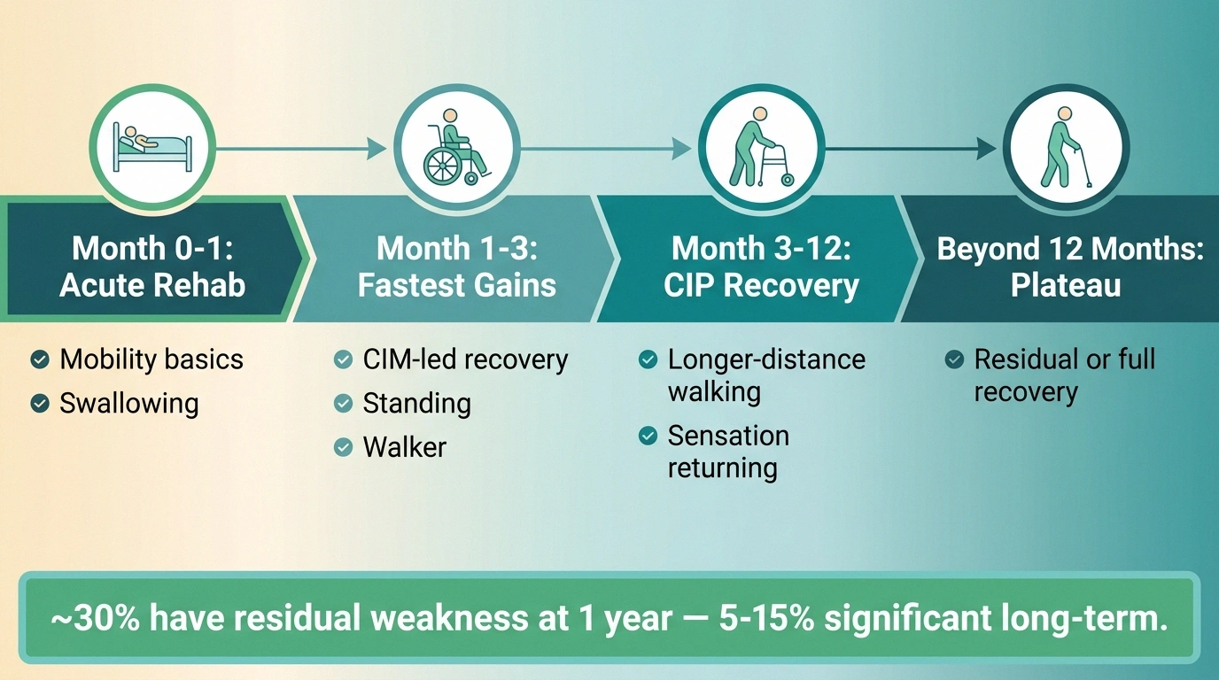 A four-phase recovery timeline for critical illness neuropathy: acute rehab in the first month, fastest gains in months 1-3, slower nerve recovery from 3 to 12 months, and a plateau beyond a year, with 30 percent residual weakness at 1 year.