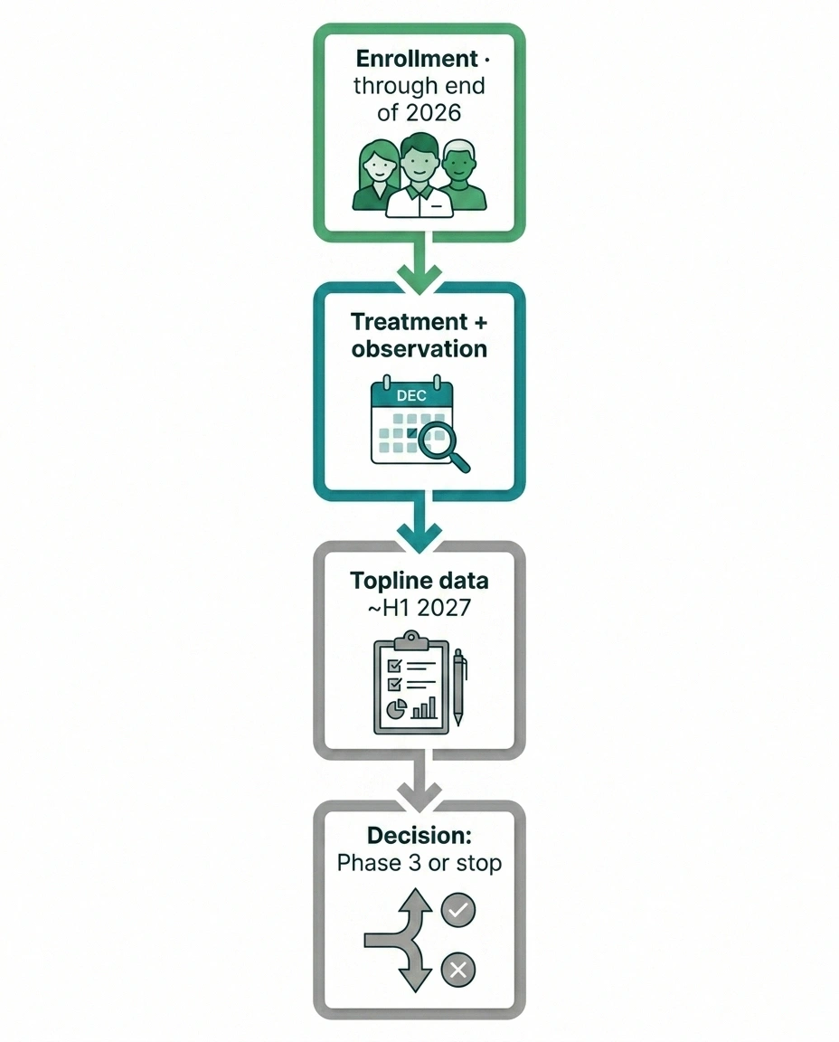 Timeline showing VX-993 diabetic neuropathy Phase 2 trial milestones from enrollment to potential Phase 3 decision