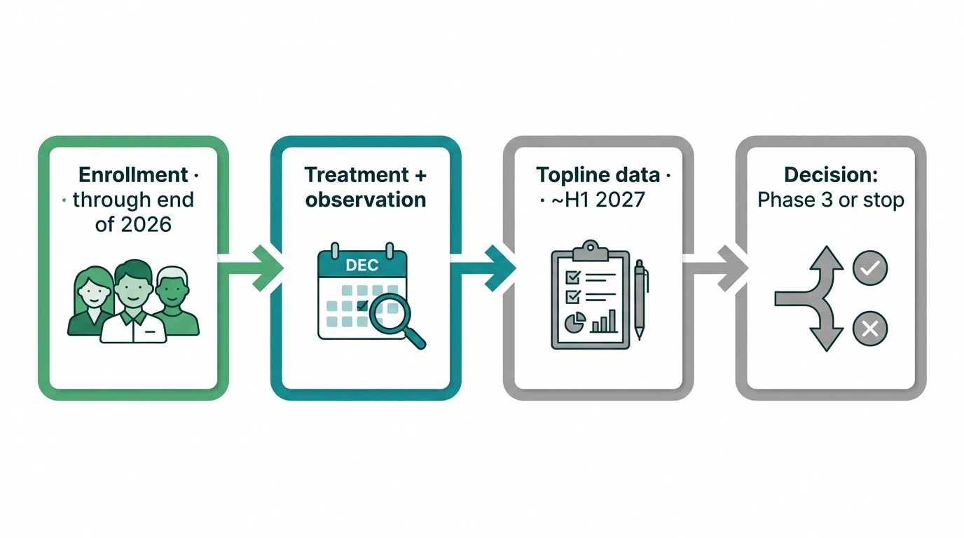 Timeline showing VX-993 diabetic neuropathy Phase 2 trial milestones from enrollment to potential Phase 3 decision