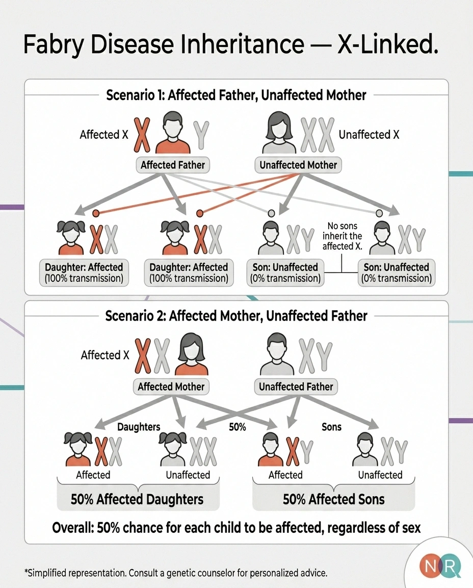 Inheritance diagram showing X-linked transmission of Fabry disease from affected fathers to all daughters and from affected mothers with 50 percent probability to all children.