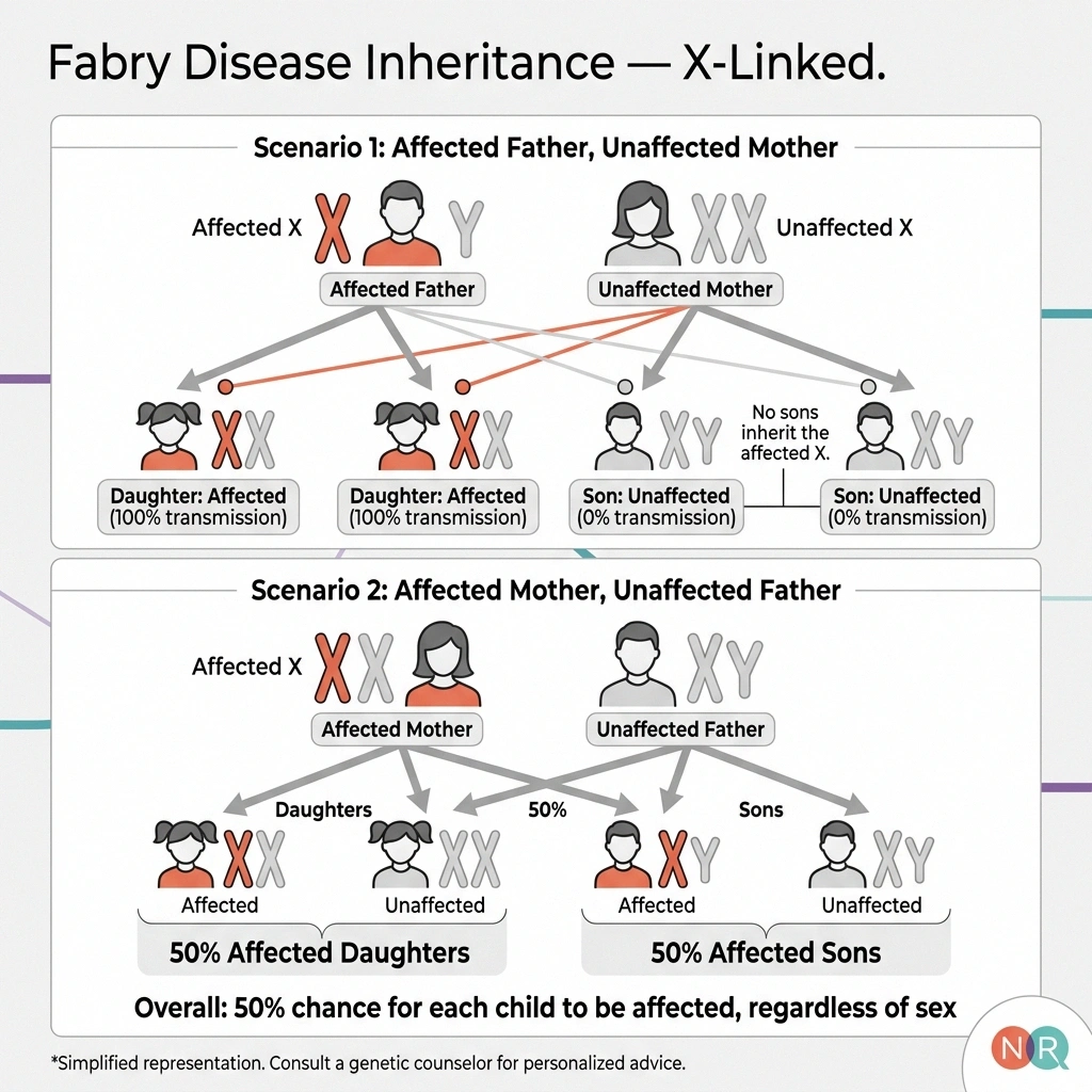 Inheritance diagram showing X-linked transmission of Fabry disease from affected fathers to all daughters and from affected mothers with 50 percent probability to all children.