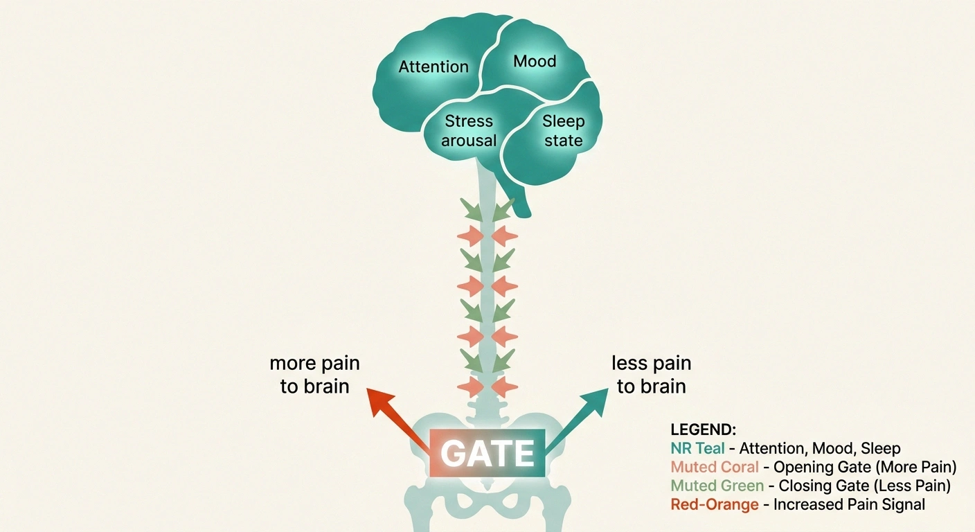 Infographic showing how attention, mood, stress, and sleep state in the brain send descending signals that open or close the spinal pain gate