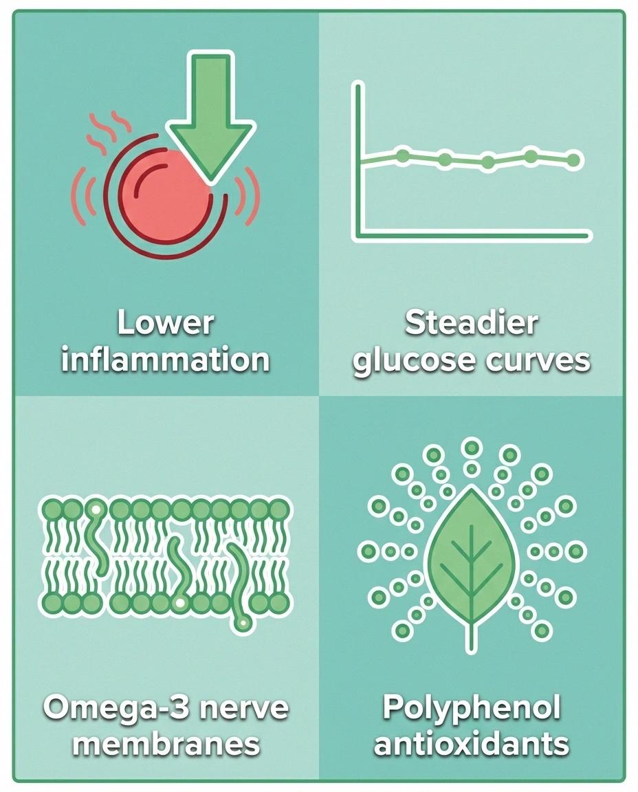 Four mechanisms of the Mediterranean diet for nerve health — inflammation, glucose, omega-3, polyphenols