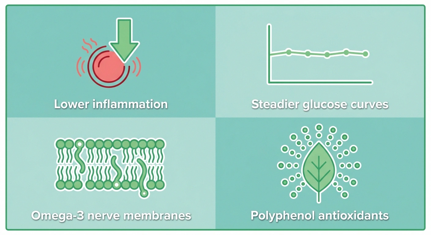 Four mechanisms of the Mediterranean diet for nerve health — inflammation, glucose, omega-3, polyphenols