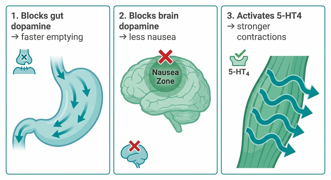 Three mechanisms of metoclopramide for gastroparesis — gut dopamine, brain dopamine, serotonin 5-HT4
