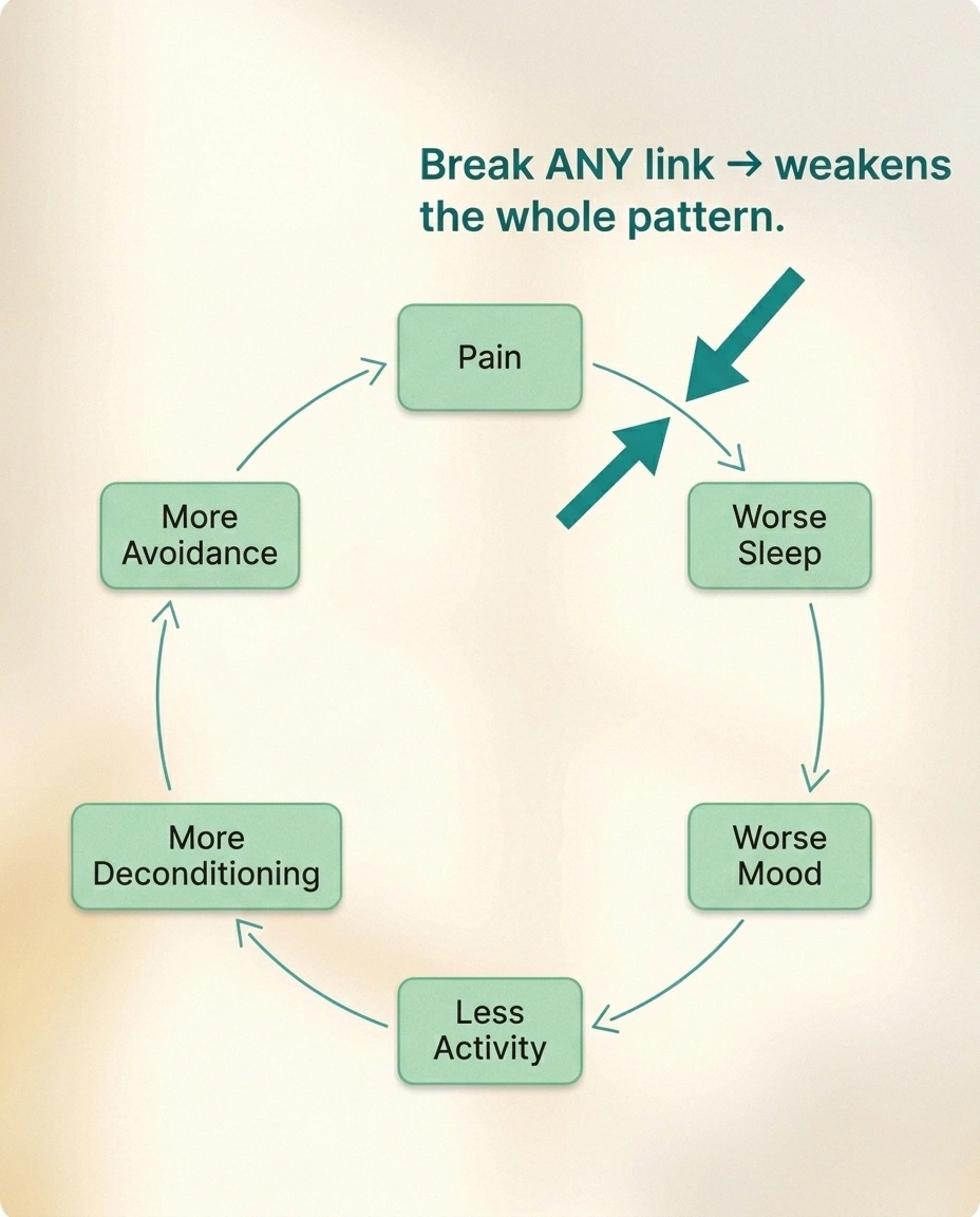Circular flowchart showing the six-node pain-depression feedback loop and how breaking any single link weakens the whole pattern
