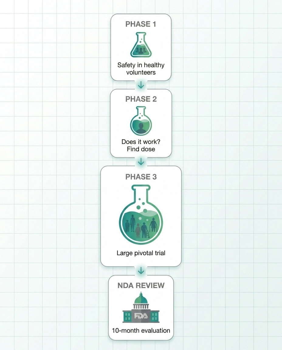 Clinical trial phases infographic from Phase 1 through FDA NDA review for neuropathy drug pipeline.