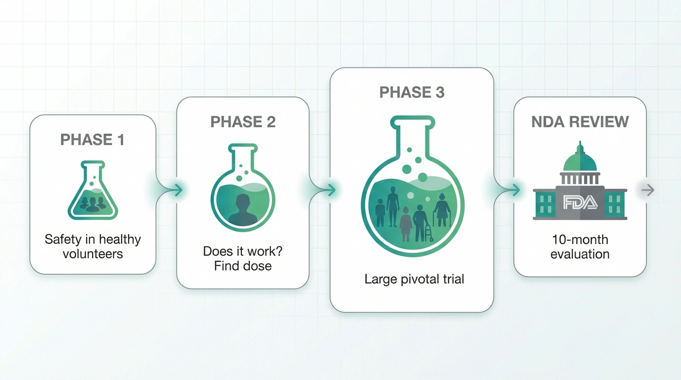 Clinical trial phases infographic from Phase 1 through FDA NDA review for neuropathy drug pipeline.