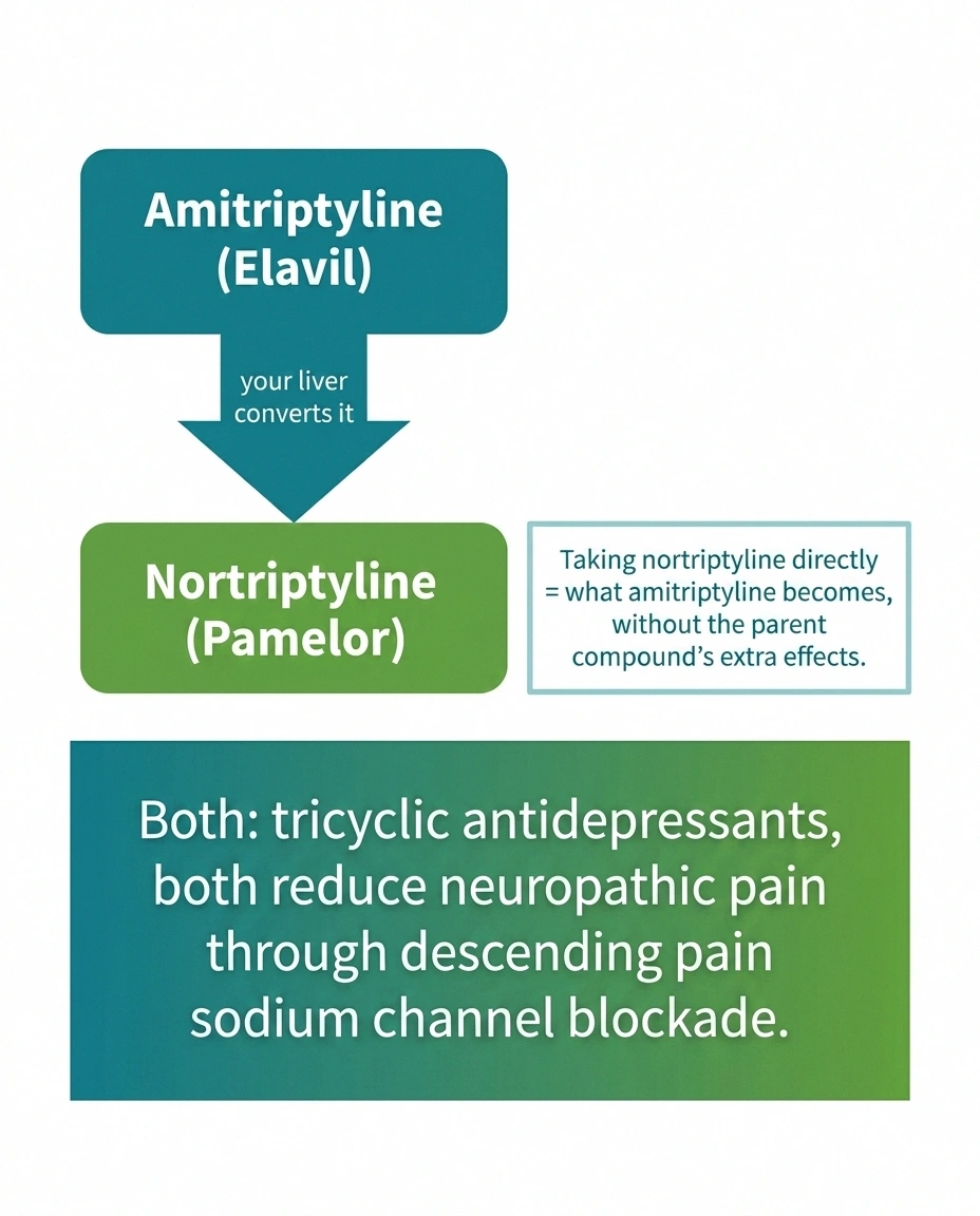Family-tree diagram showing amitriptyline metabolizing to nortriptyline with both treating nerve pain
