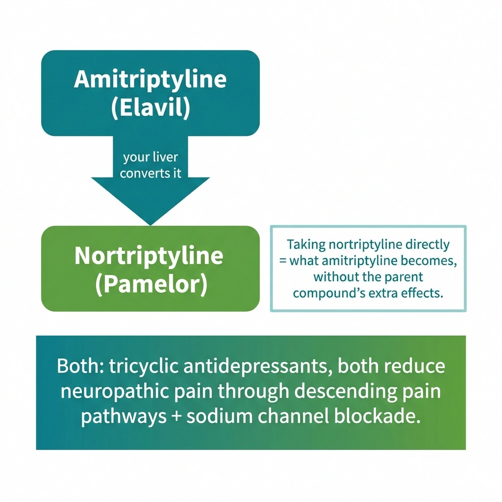 Family-tree diagram showing amitriptyline metabolizing to nortriptyline with both treating nerve pain