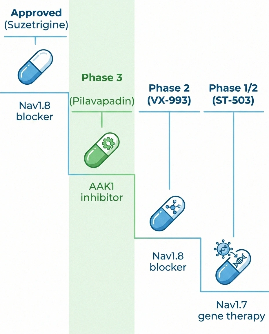 Comparison infographic showing the development stage of suzetrigine, pilavapadin, VX-993, and ST-503 for nerve pain