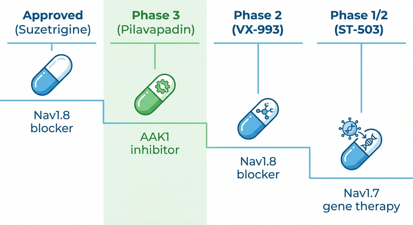 Comparison infographic showing the development stage of suzetrigine, pilavapadin, VX-993, and ST-503 for nerve pain