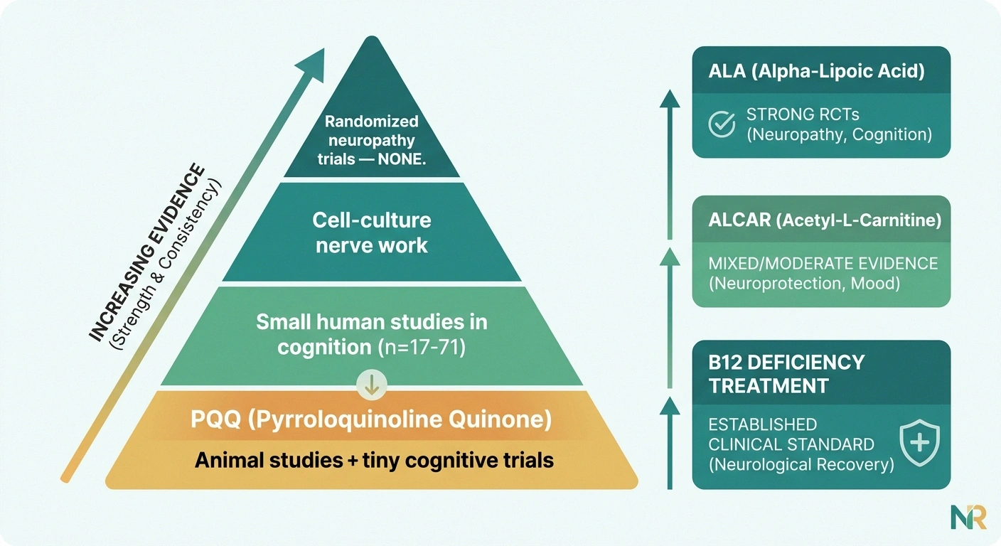 Evidence pyramid showing PQQ at base level with animal data and small human cognitive studies, no neuropathy RCTs, compared to ALA and B12 at evidence-strong tier.