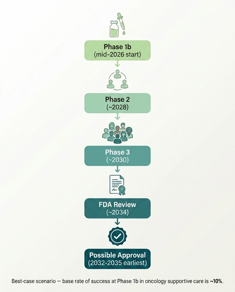 Multi-year timeline showing the drug development phases SP16 must complete before potential FDA approval.