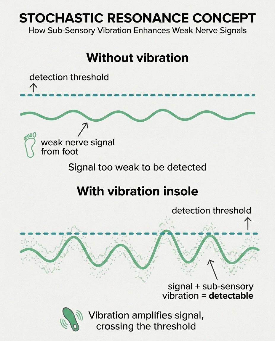 Infographic showing stochastic resonance: how a sub-sensory vibrating insole helps weak nerve signals cross the brain's detection threshold.
