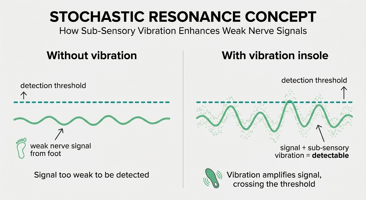 Infographic showing stochastic resonance: how a sub-sensory vibrating insole helps weak nerve signals cross the brain's detection threshold.