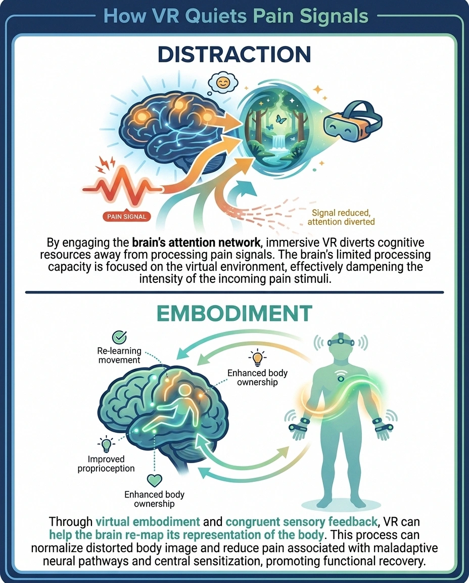 Diagram showing how virtual reality reduces pain through distraction and embodiment mechanisms