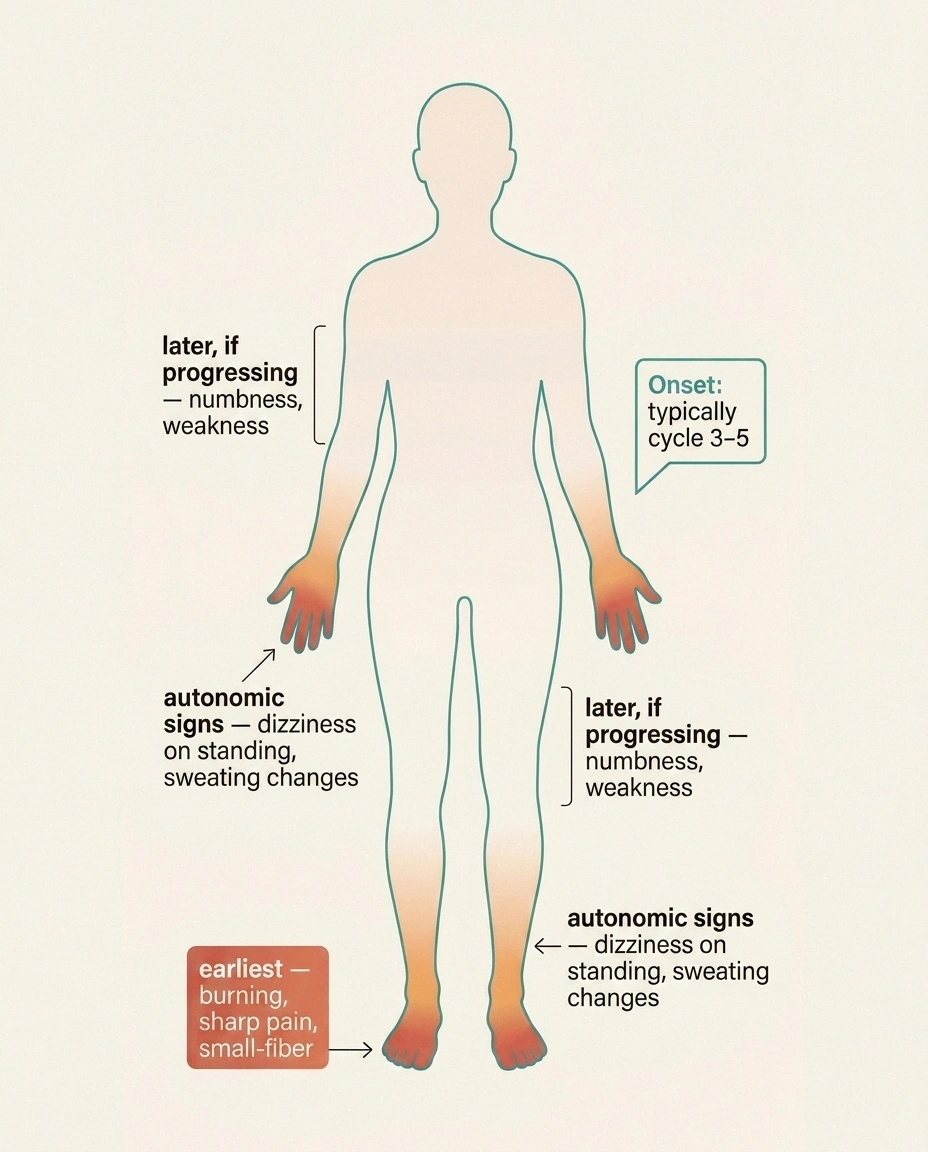 Body diagram showing the small-fiber and autonomic pattern of bortezomib-induced peripheral neuropathy