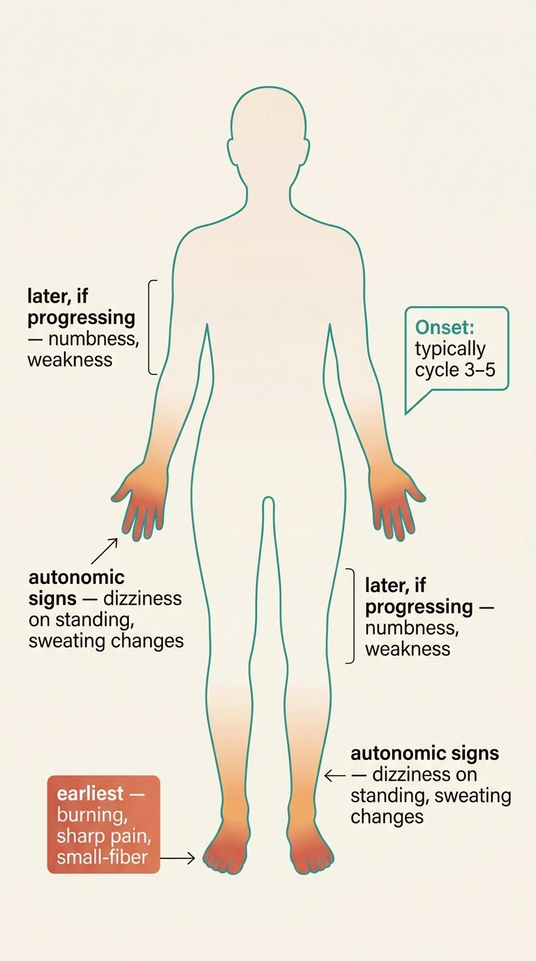 Body diagram showing the small-fiber and autonomic pattern of bortezomib-induced peripheral neuropathy