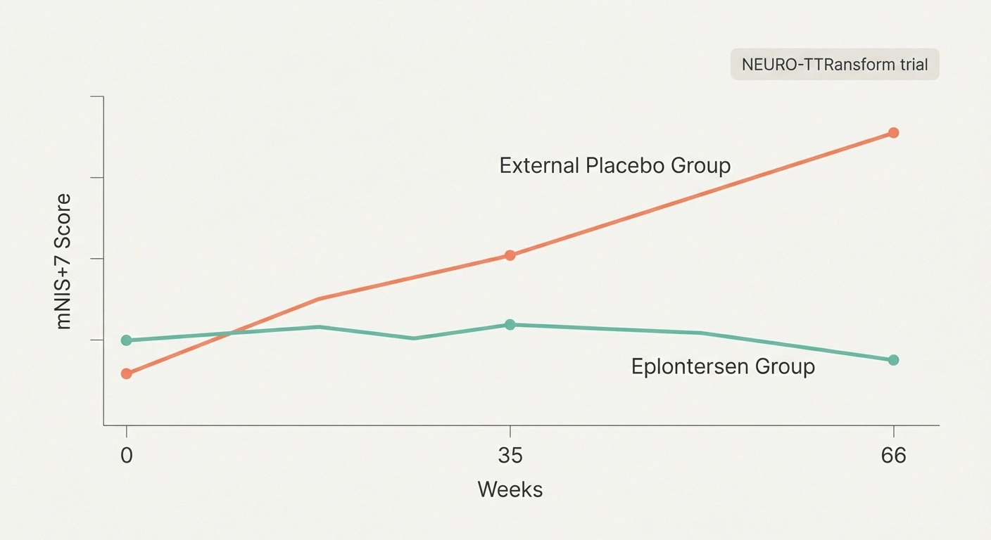 NEURO-TTRansform trial data showing eplontersen stabilized neuropathy scores while placebo group progressively worsened over 66 weeks
