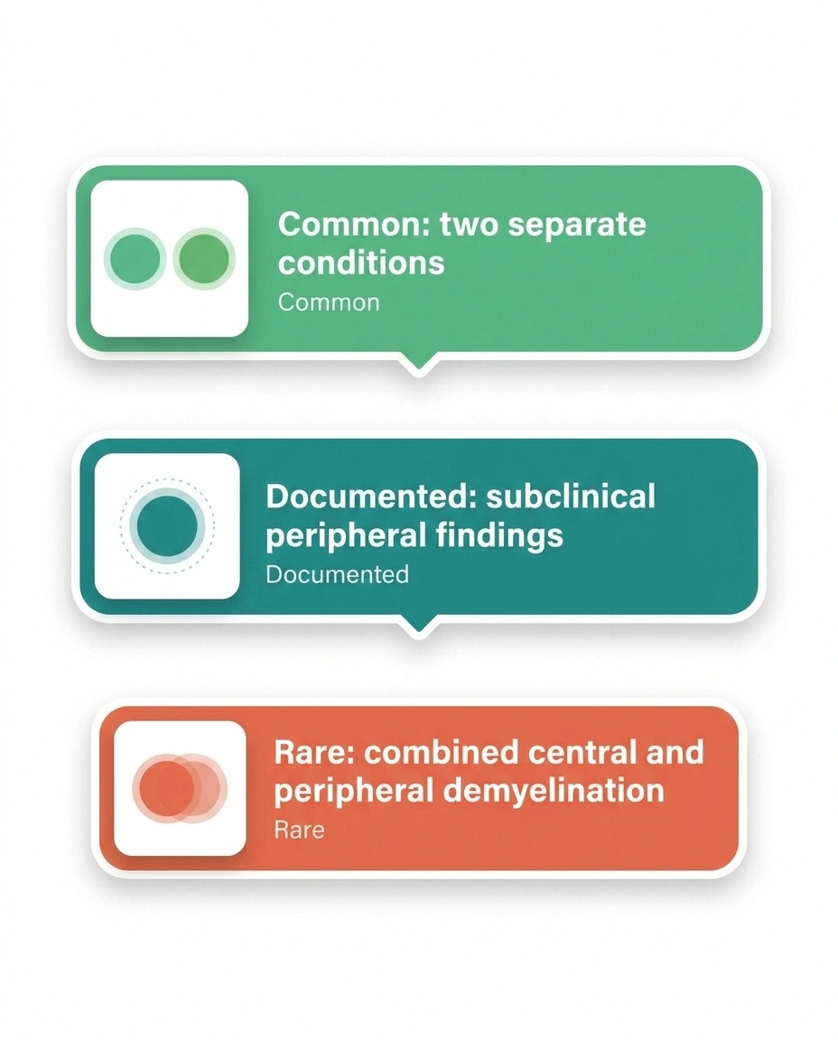 Three-tier infographic showing that having MS and neuropathy together is usually two separate conditions, sometimes subclinical overlap, and rarely combined demyelination.