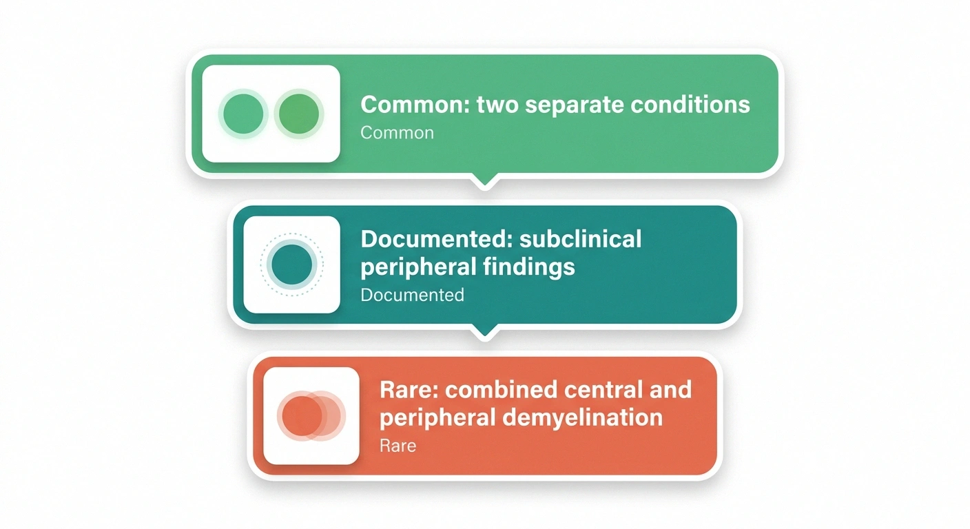 Three-tier infographic showing that having MS and neuropathy together is usually two separate conditions, sometimes subclinical overlap, and rarely combined demyelination.