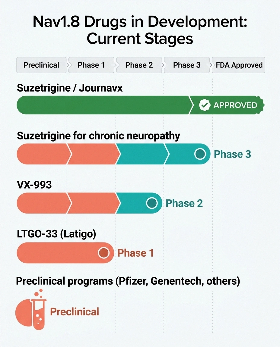 Pipeline chart showing Nav1.8 sodium channel drugs at their current stages of clinical development from preclinical through FDA approval