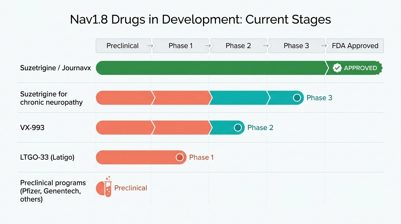 Pipeline chart showing Nav1.8 sodium channel drugs at their current stages of clinical development from preclinical through FDA approval