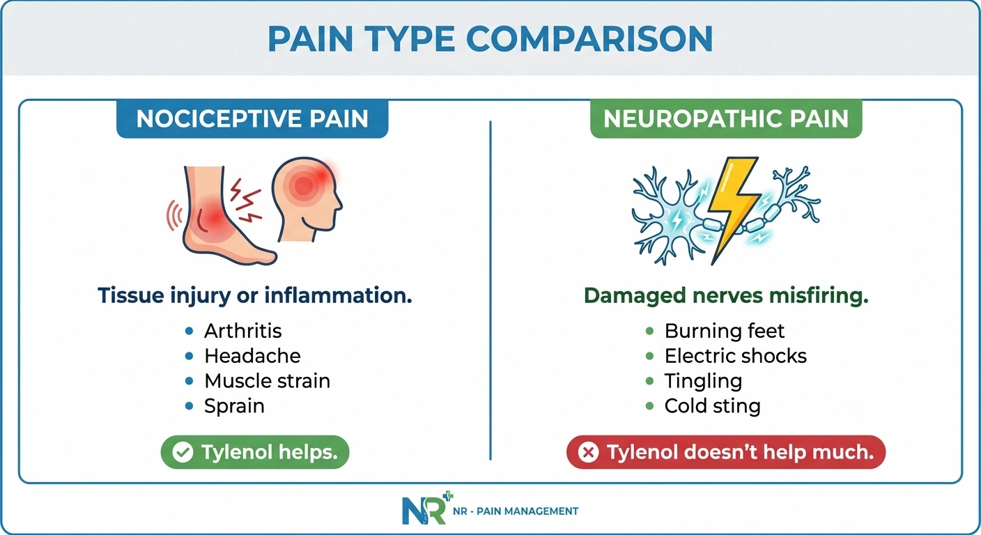 Infographic comparing nociceptive pain and neuropathic pain and which responds to acetaminophen