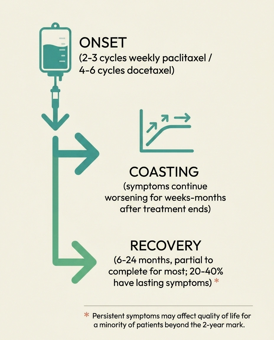 Infographic of taxane CIPN timeline showing onset, coasting after chemo ends, and recovery phases