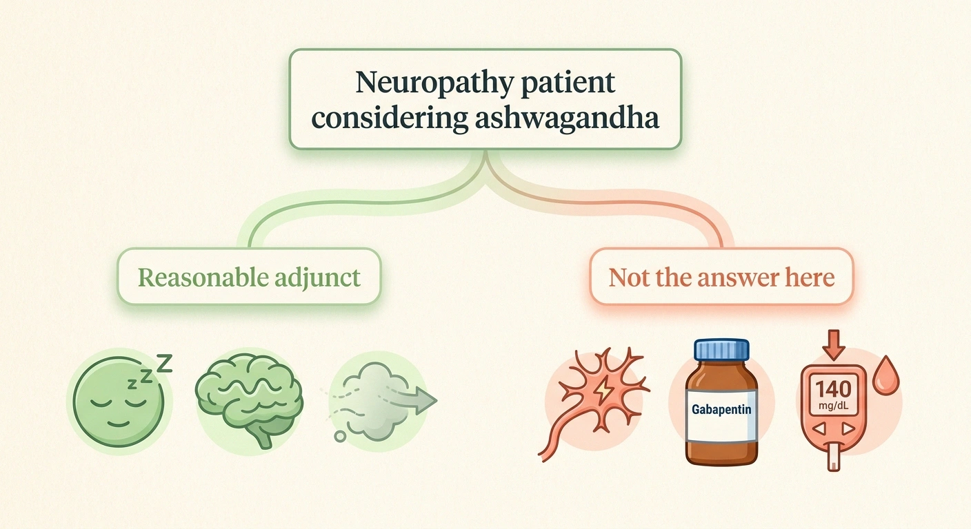 Decision-tree illustration showing when ashwagandha may reasonably help versus when it won't replace primary neuropathy care