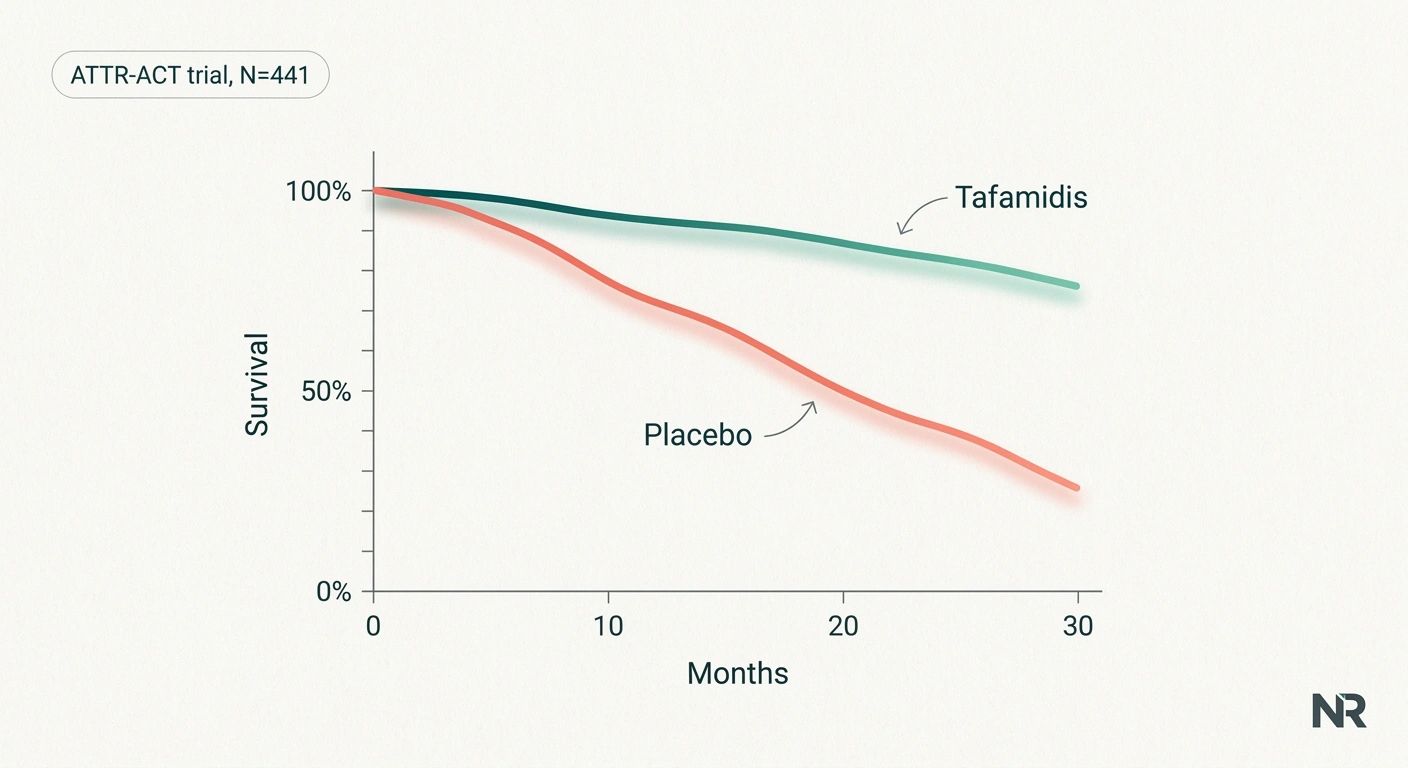 ATTR-ACT trial survival curves showing tafamidis reduced all-cause mortality vs placebo over 30 months in ATTR-CM
