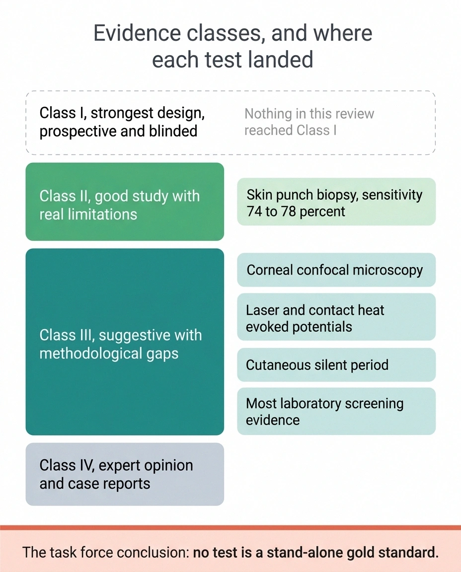 Landscape chart of evidence classes showing skin punch biopsy at Class II and four other tests at Class III